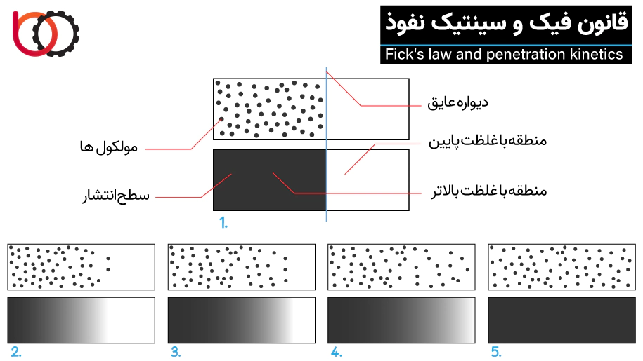 قانون فیک و سینتیک نفوذ