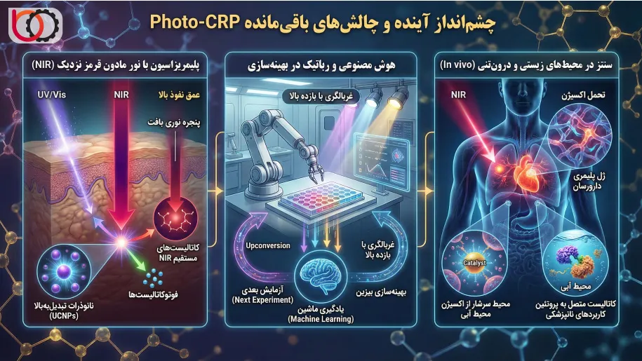 چشمانداز آینده و چالشهای باقیمانده