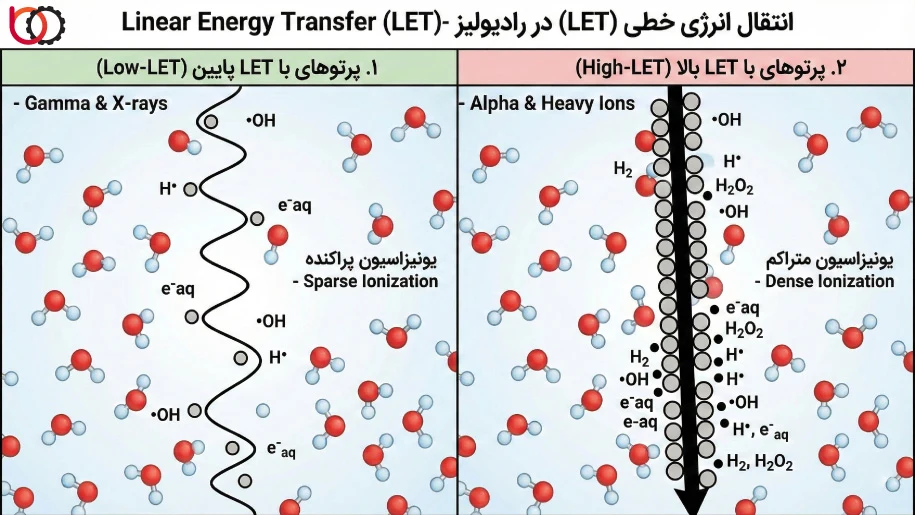 انتقال انرژی خطی (LET) در رادیولیز