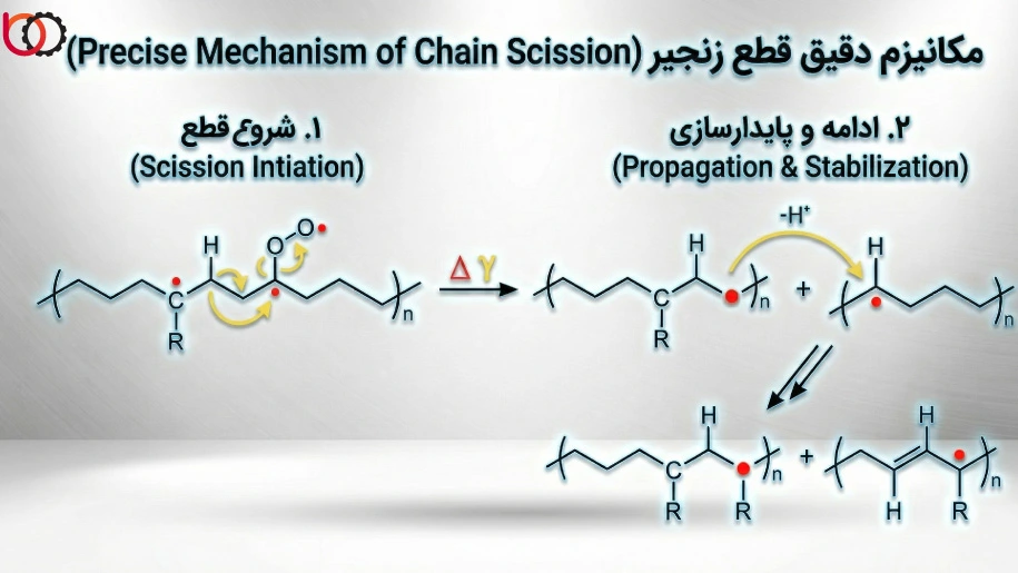 مکانیزم دقیق قطع زنجیر (Chain Scission)