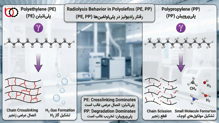  رفتار رادیولیز در پلی‌اولفین‌ها (PE, PP)