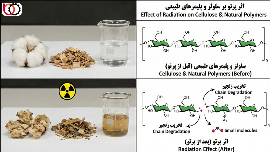اثر پرتو بر سلولز و پلیمرهای طبیعی