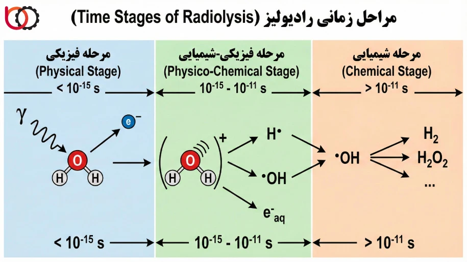 مراحل زمانی رادیولیز