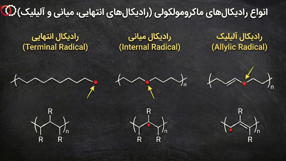 انواع رادیکال‌های ماکرومولکولی 