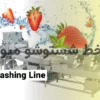 راهنمای کامل ساخت و راه‌اندازی خط شستشوی میوه