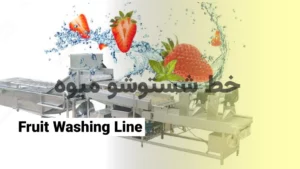 راهنمای کامل ساخت و راه‌اندازی خط شستشوی میوه