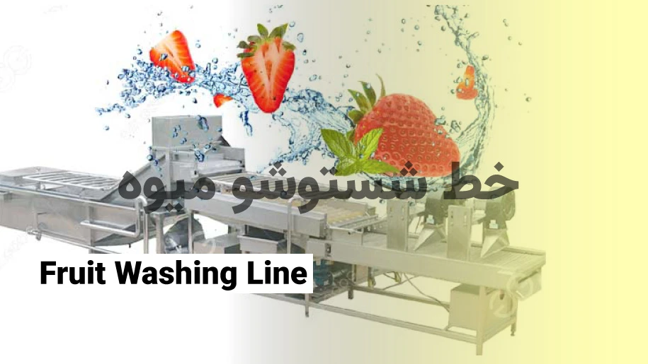 خط شستشوی میوه