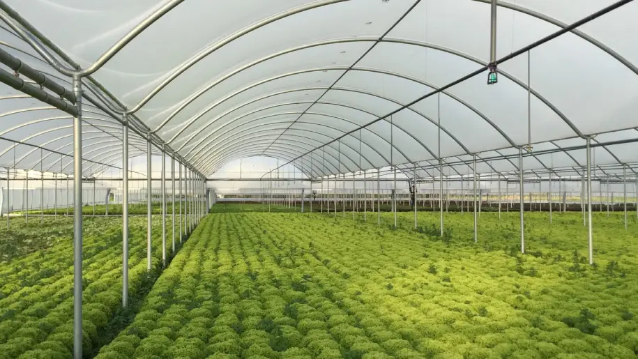 خط تولید نایلون گلخانه ای