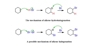 هالوژناسیون چیست؟ راهنمای جامع
