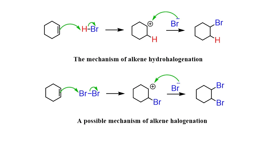 هالوژناسیون چیست؟