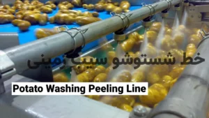 خط شستشو و پوست گیری سیب زمینی و پیاز: راهنمای کامل صنعتی