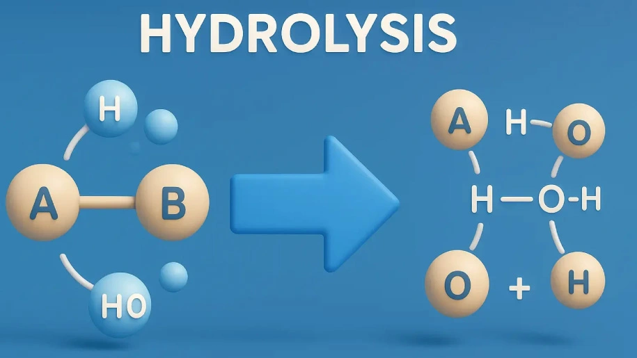 هیدرولیز چیست؟